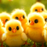 🐥 Los Pollitos Dicen Pío Pío | Versión Urbana Original 2025 🔥 | Música + Video Exclusivo